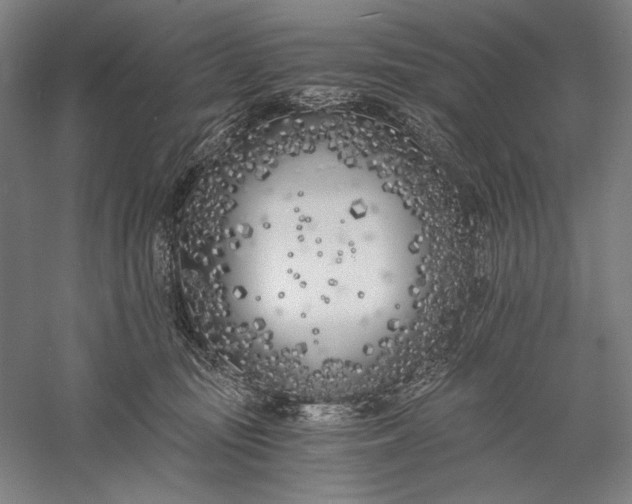 X0000056360371200509091629