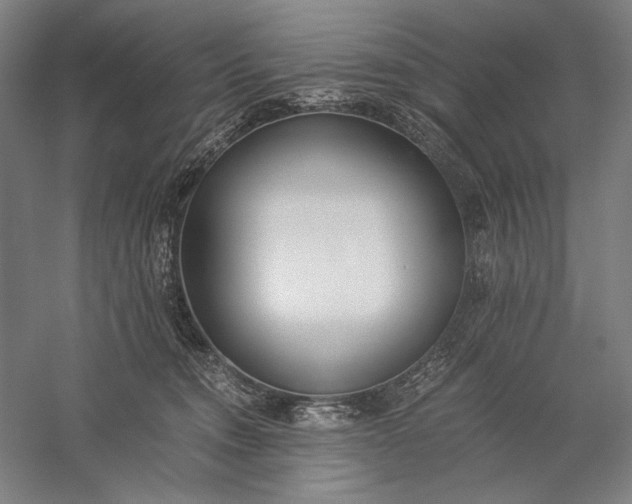 X0000056360372200509091629