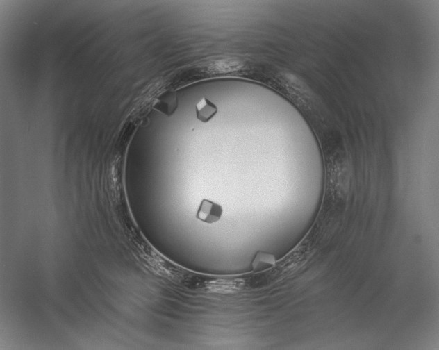 X0000056360373200509091629