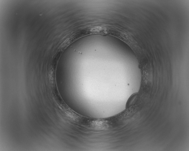 X0000056360375200509091629