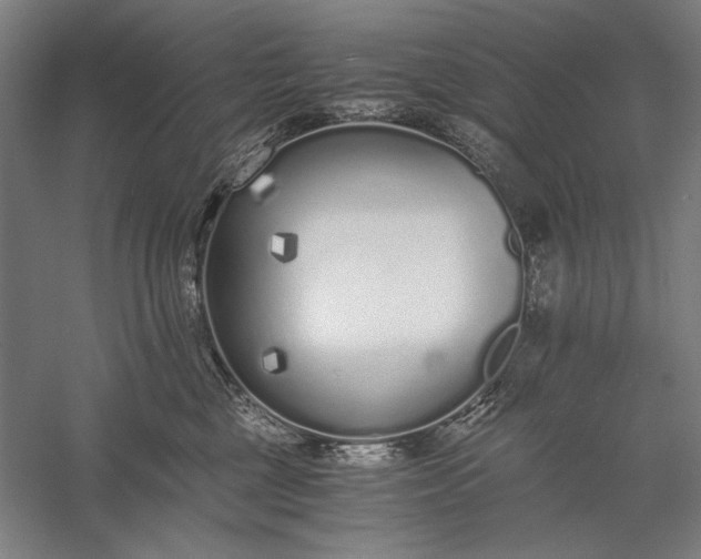 X0000056360377200509091629