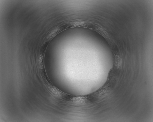 X0000056360378200509091629