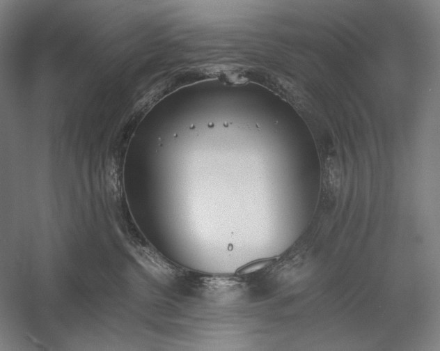 X0000056360380200509091629