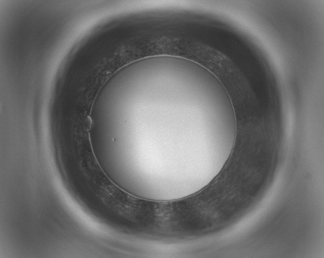 X0000056360382200509091629