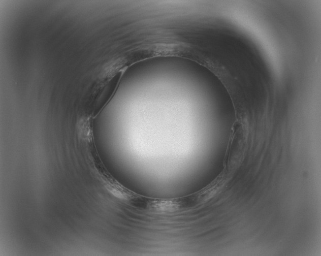 X0000056360383200509091629