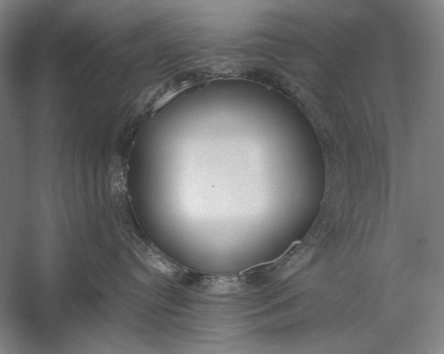 X0000056360384200509091629