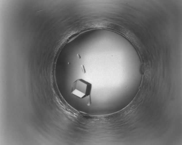 X0000056360386200509091628