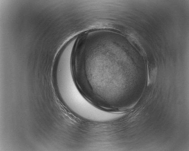 X0000056360387200509091628