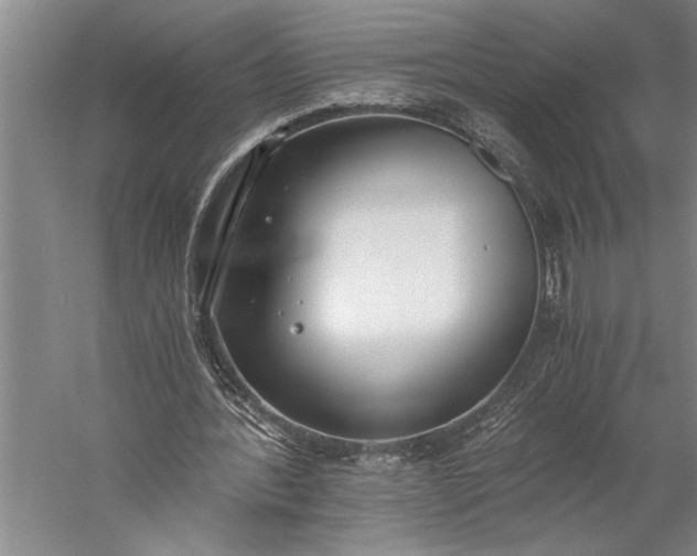 X0000056360388200509091628