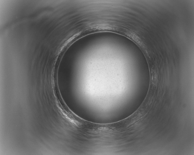 X0000056360390200509091628