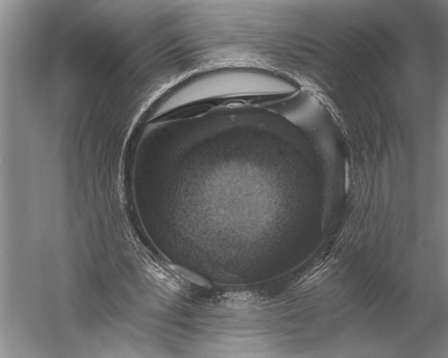 X0000056360391200509091628