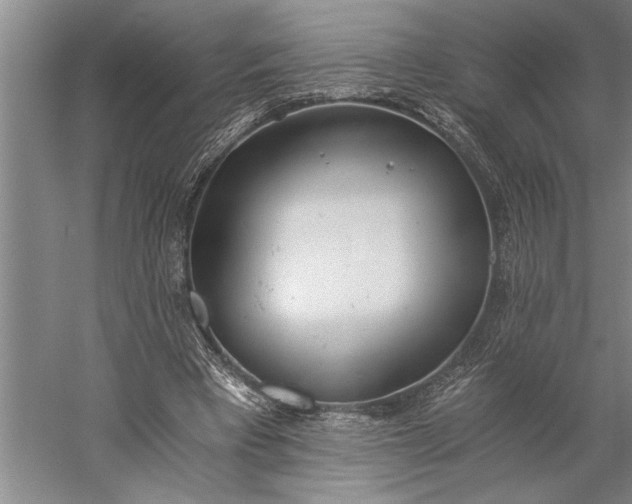 X0000056360393200509091628