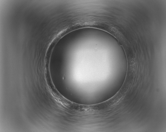 X0000056360395200509091628