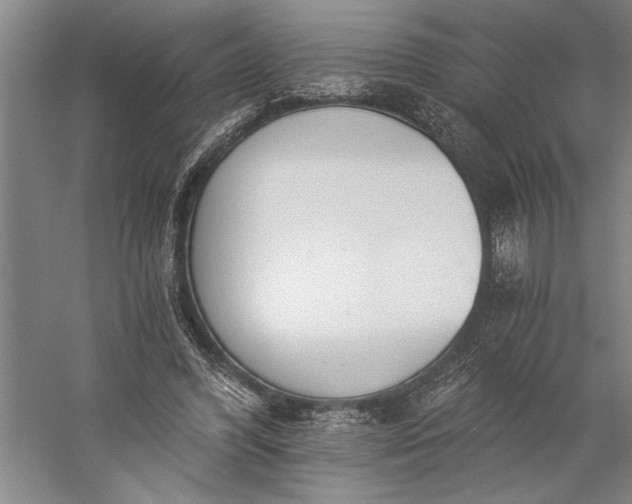 X0000056360396200509091628