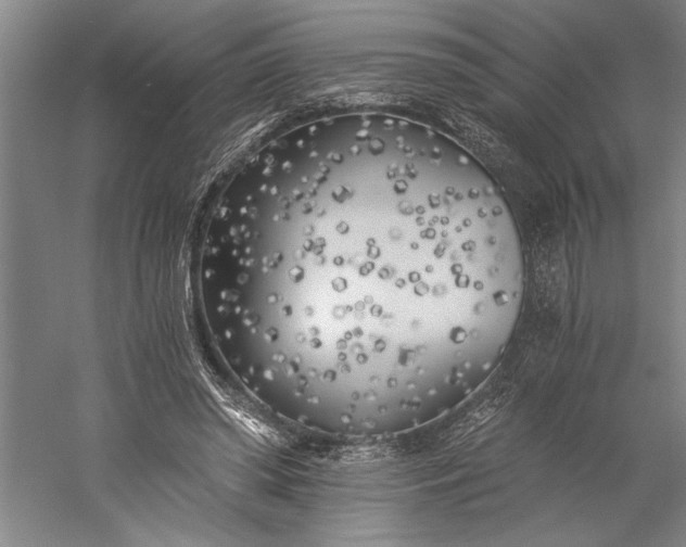 X0000056360398200509091628