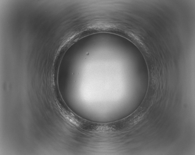 X0000056360399200509091628