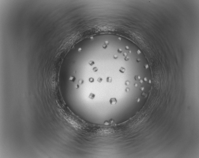 X0000056360402200509091628