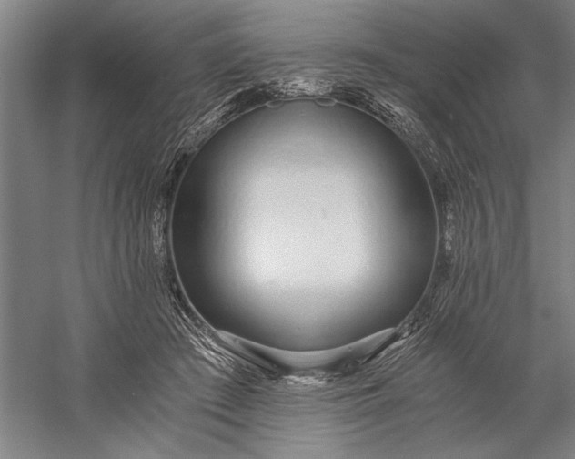 X0000056360409200509091628