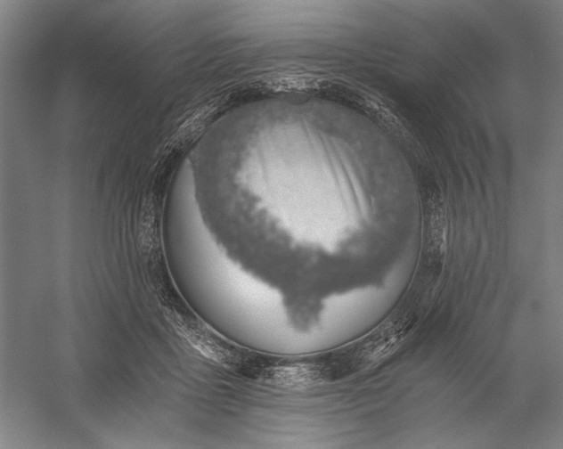 X0000056360411200509091628