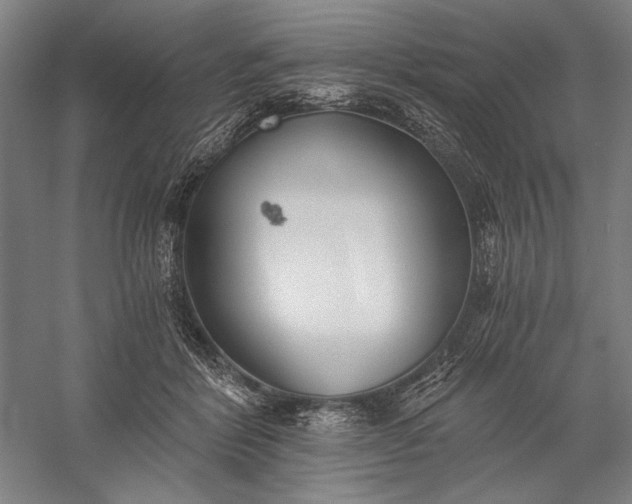 X0000056360412200509091628