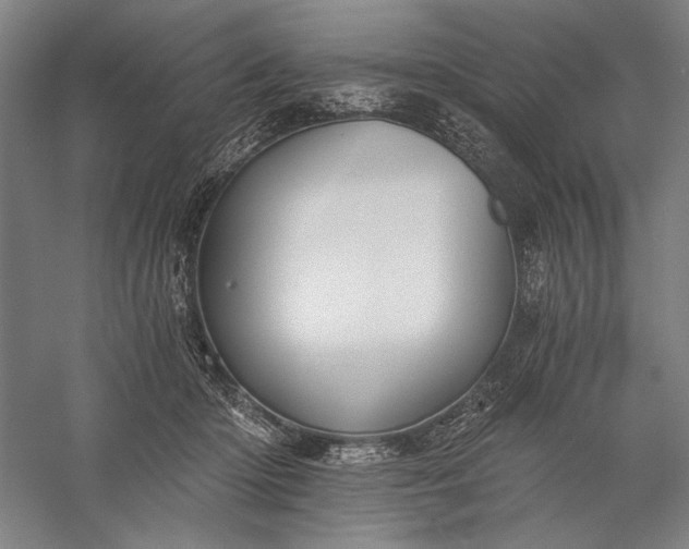 X0000056360414200509091628