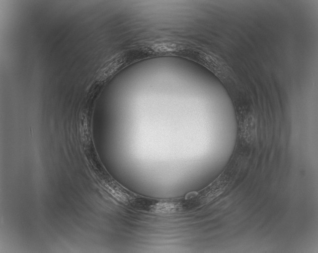 X0000056360418200509091628