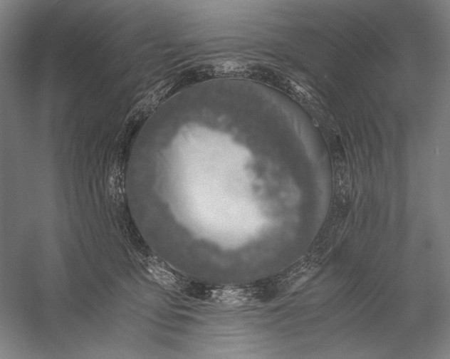 X0000056360419200509091628