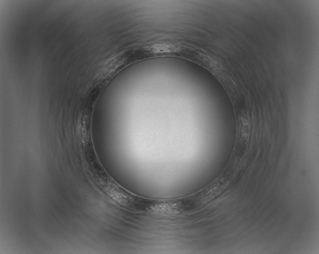 X0000056360422200509091628