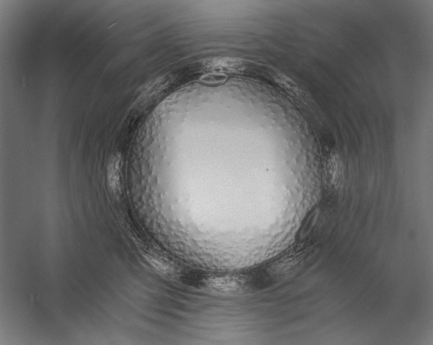 X0000056360423200509091628