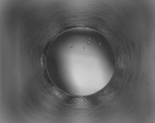 X0000056360424200509091628