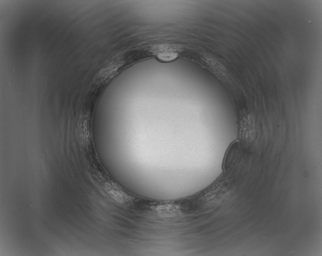 X0000056360426200509091627