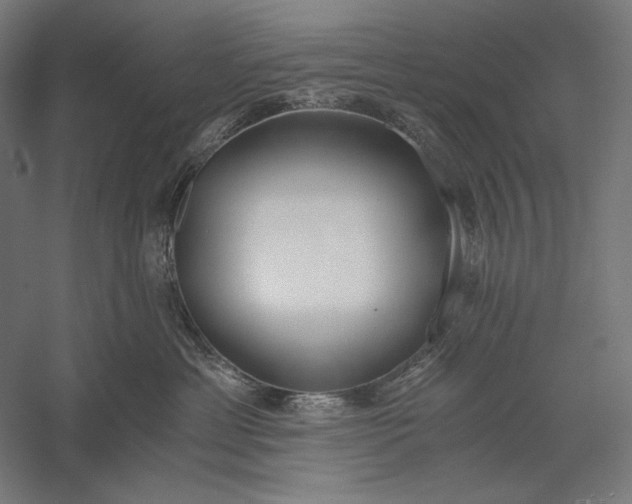 X0000056360429200509091627