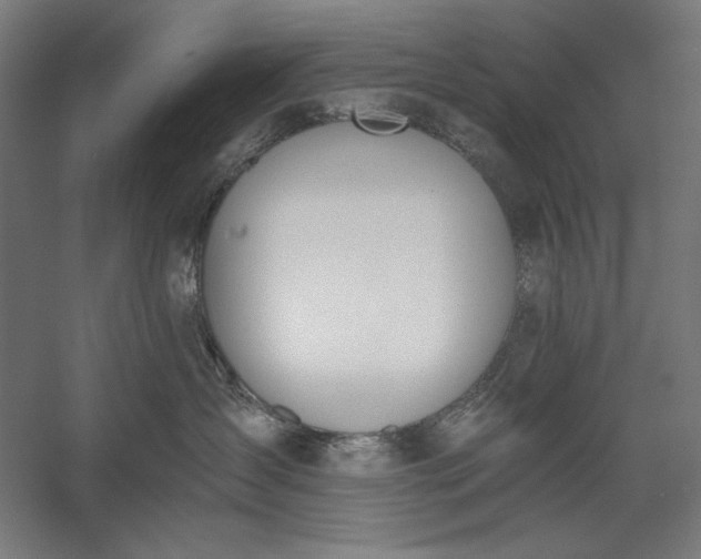 X0000056360431200509091627