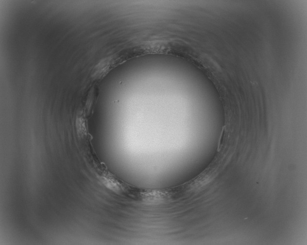 X0000056360432200509091627