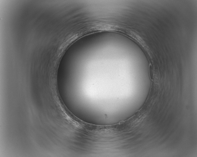 X0000056360433200509091627