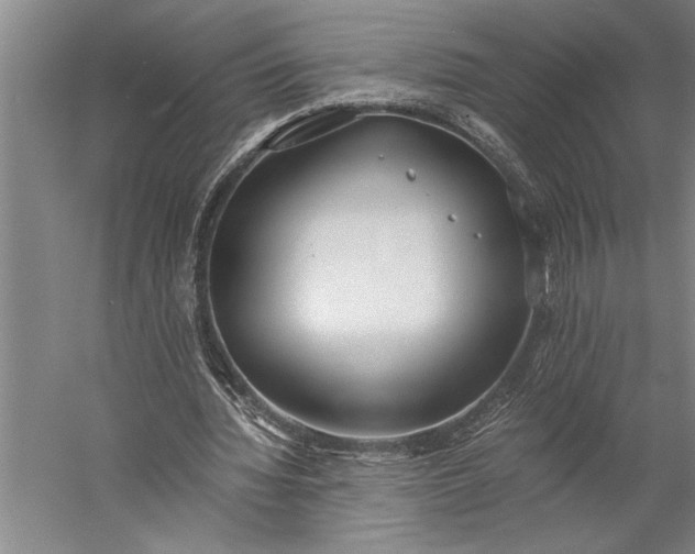 X0000056360436200509091627