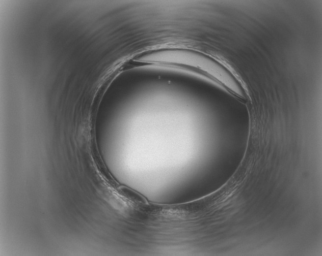 X0000056360437200509091627