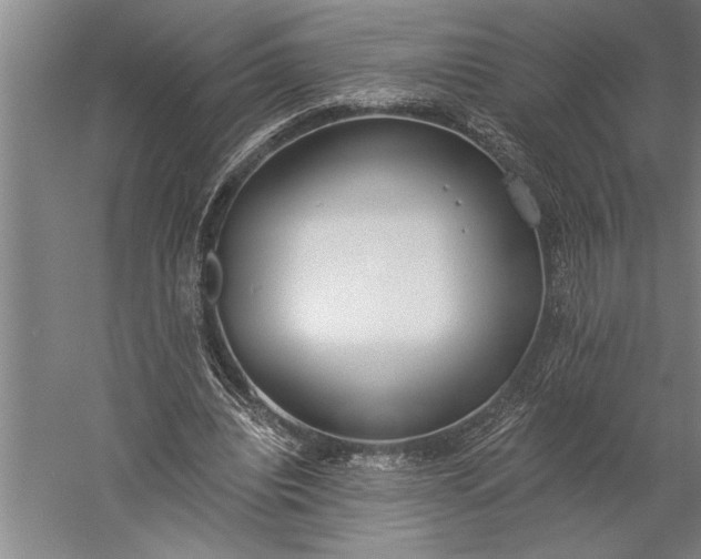 X0000056360440200509091627