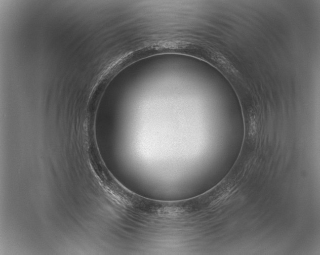 X0000056360444200509091627