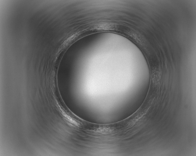 X0000056360445200509091627