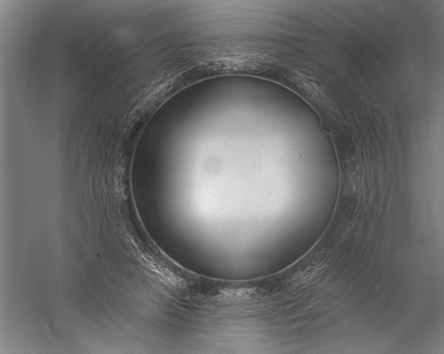 X0000056360450200509091627