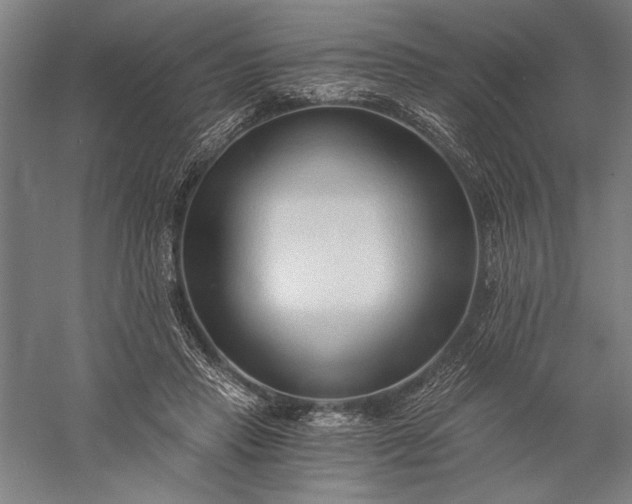 X0000056360453200509091627