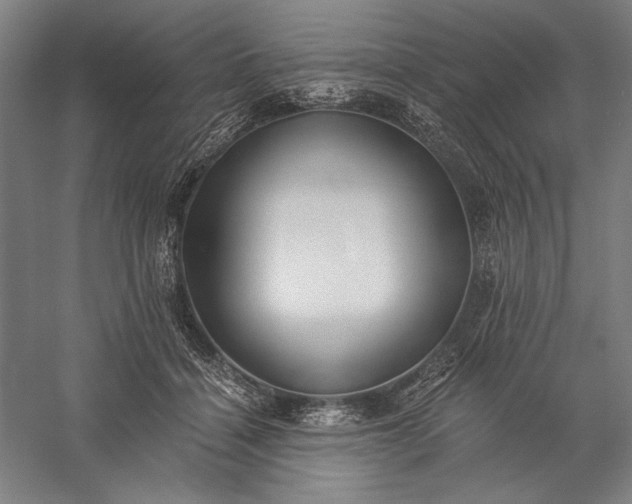 X0000056360460200509091627