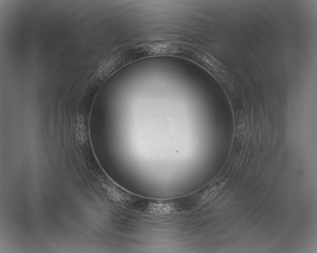 X0000056360469200509091627