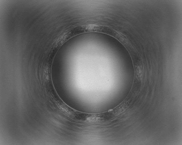 X0000056360470200509091627