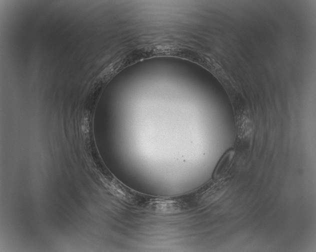 X0000056360472200509091627