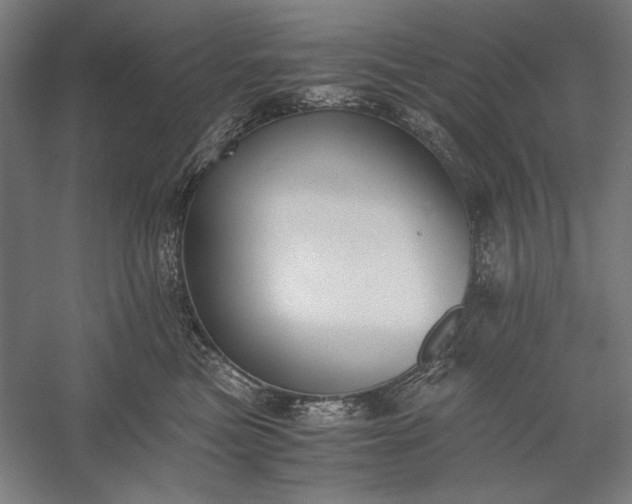 X0000056360473200509091627