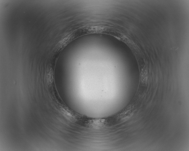 X0000056360474200509091627