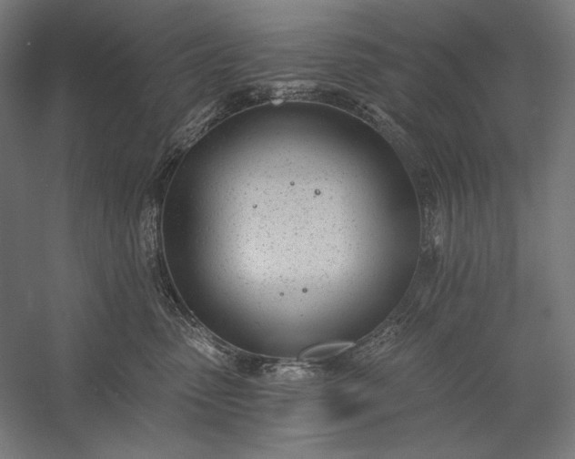 X0000056360475200509091627