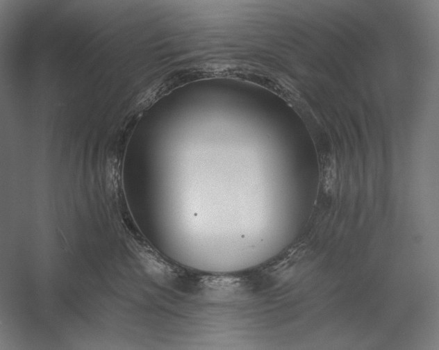 X0000056360476200509091627